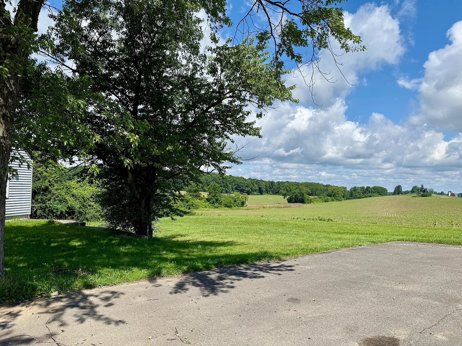 6369 Half Acre Rd — Photo 3
