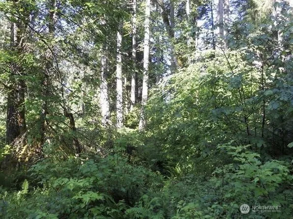 10608 Edgewood Drive, Anderson Island, WA 98303