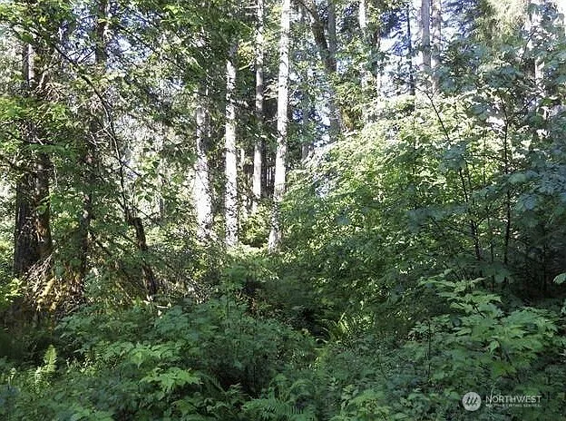 10608 Edgewood Drive photo 1