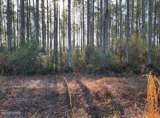 12 Douglas Landing Rd, Wewahitchka, FL 32465