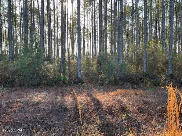 12 Douglas Landing Rd, Wewahitchka, FL 32465