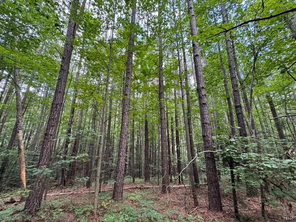 0 Holiday Lake Rd, Appomattox, VA 24522