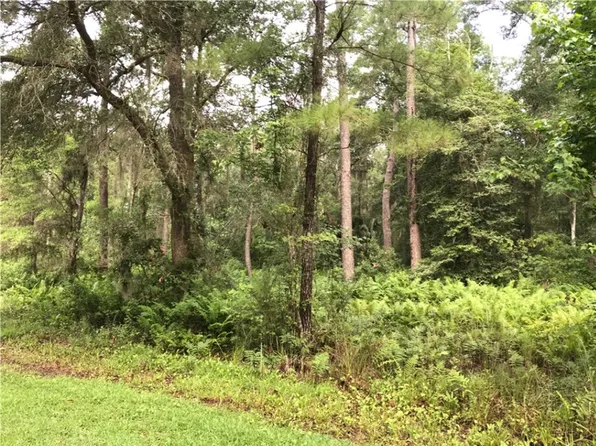 32 Carnochan Dr SE, Darien, GA 31305