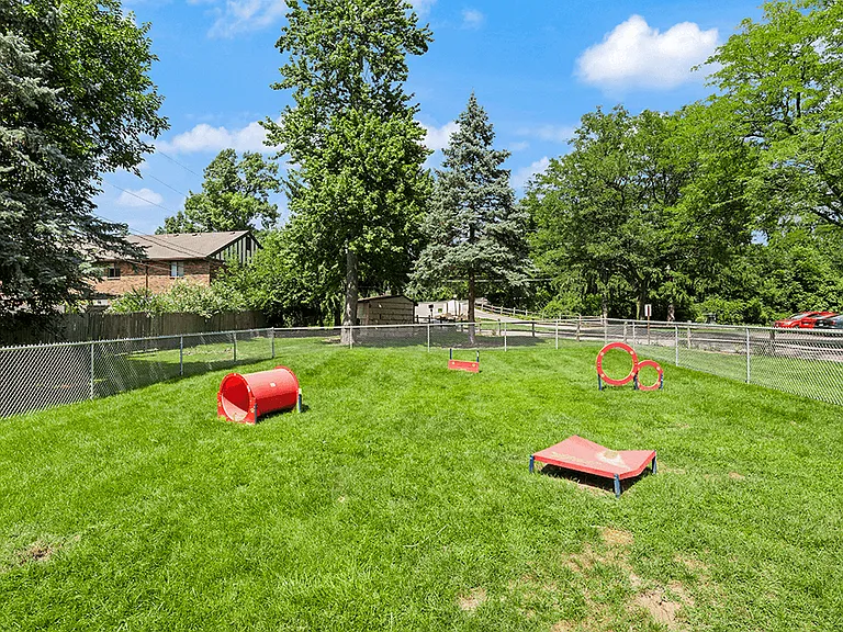 Enclosed Dog Park