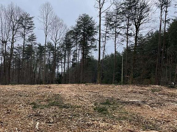 5th image of 141 Pine Tree Cir