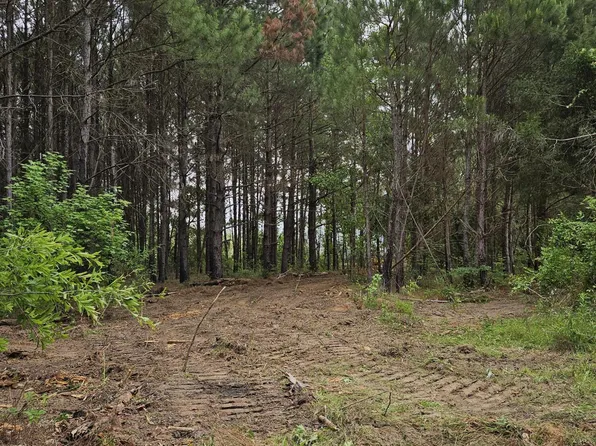 Abercrombie Knight Rd, Seminary, MS 39479