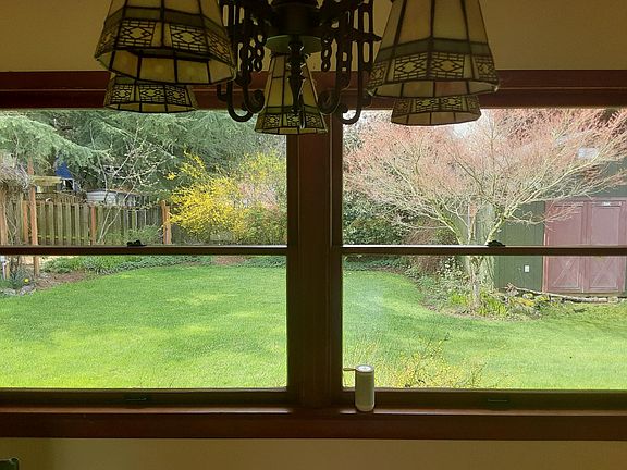 Looking out of living room