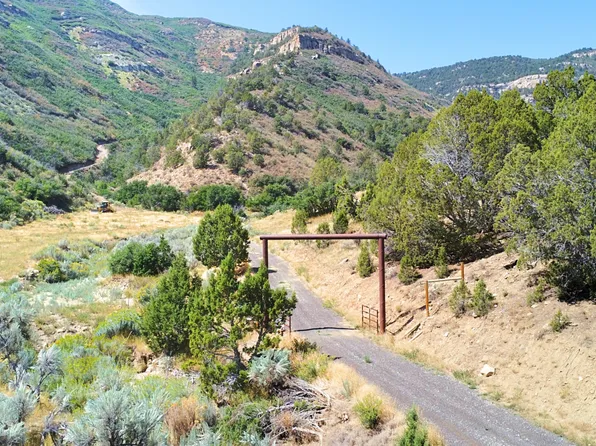 Douglas Pass Rd, Loma, CO 81524