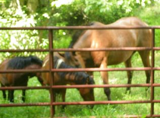 888 Wingfield Orchard Rd, Martinsville, VA 24112