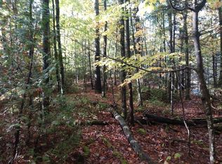 Pottersville Rd, Schroon Lake, NY 12870