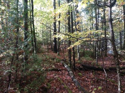 Pottersville Rd, Schroon Lake, NY, 12870