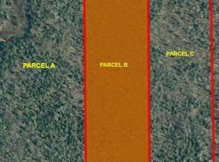 PARCEL Black Point Rd #B, Moran, MI 49760