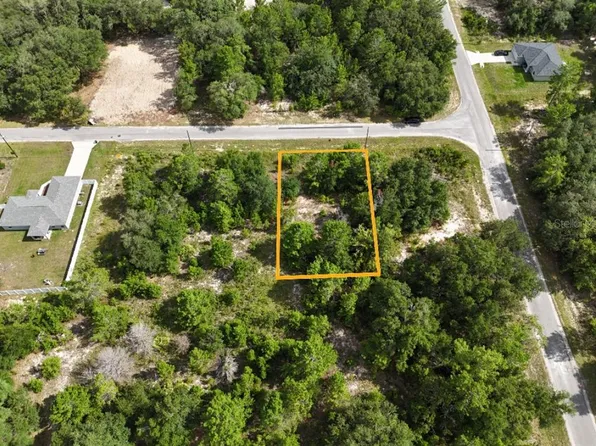 Malauka Radl Lot 18, Ocklawaha, FL 32179