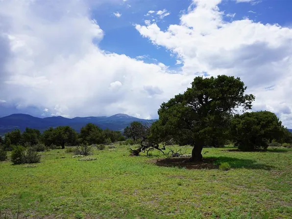 281 E Pfieffer Loop, South Fork, CO 81154