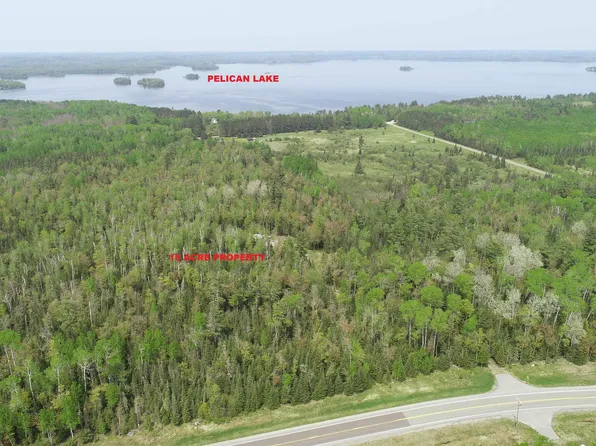 11587 Nett Lake Rd, Orr, MN 55771
