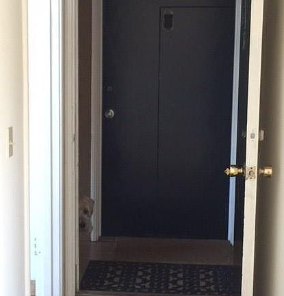 4th image of 1121 Carmelita Ave APT 3
