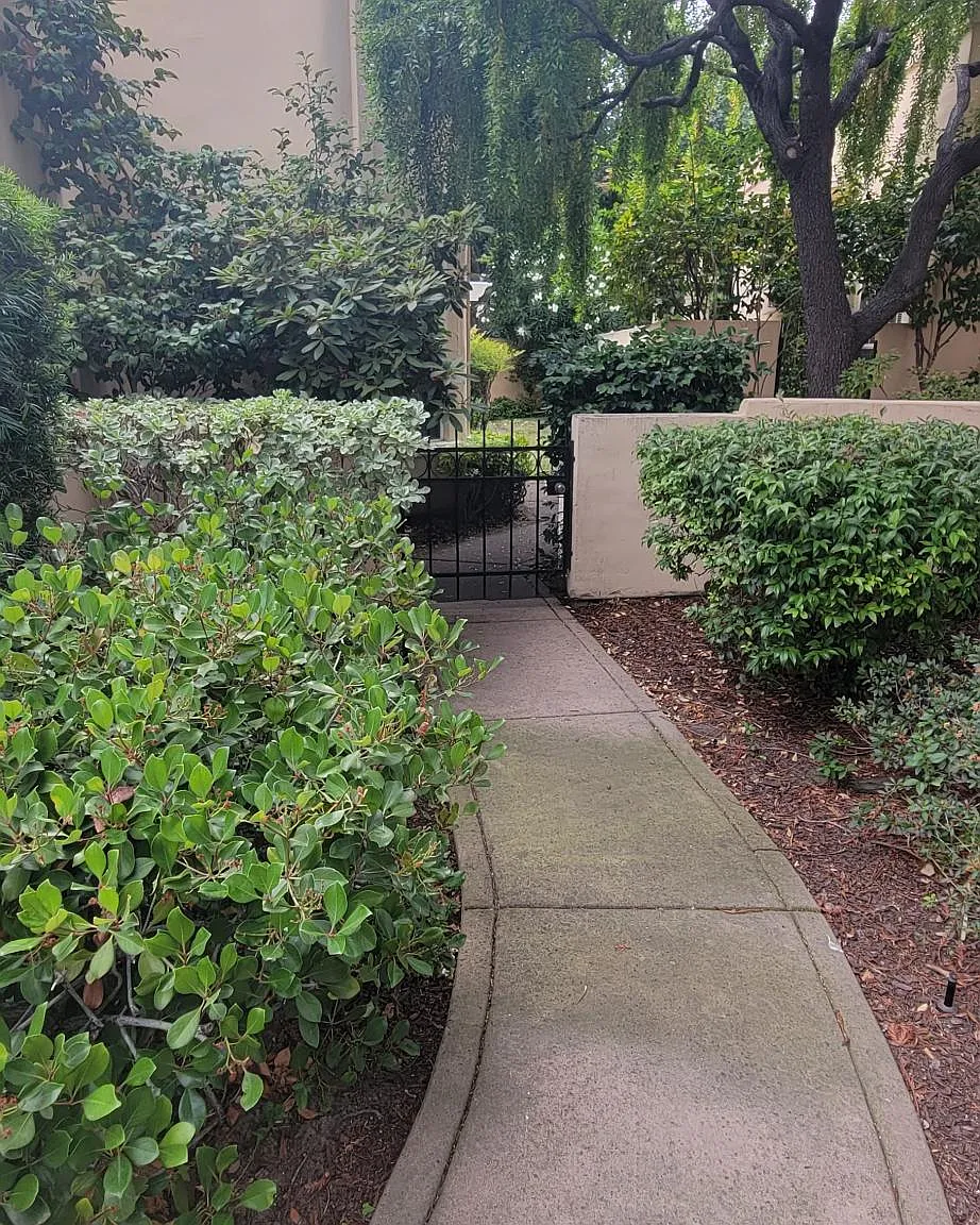 3 bed, 2.5 bath, 2249 sqft, $7,425 — Photo 3