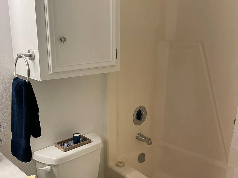 Master bath 2