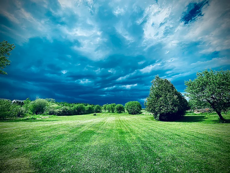 Wide open green space