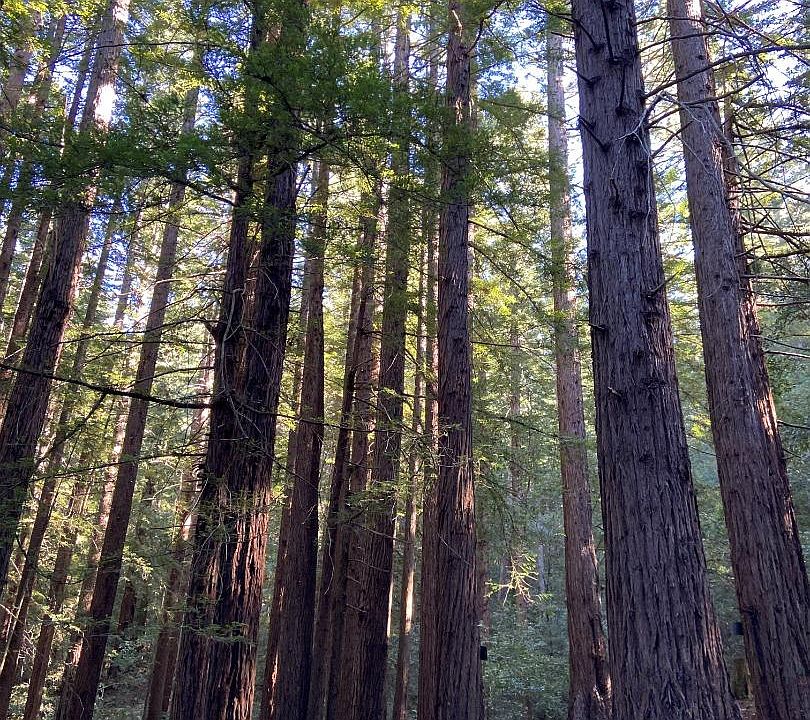 1st image of 155 Native Sons Rd