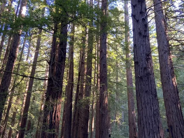 155 Native Sons Rd, Woodside, CA 94062