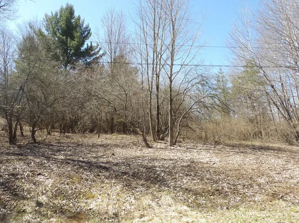 23094 Apache Trl, Evart, MI 49631