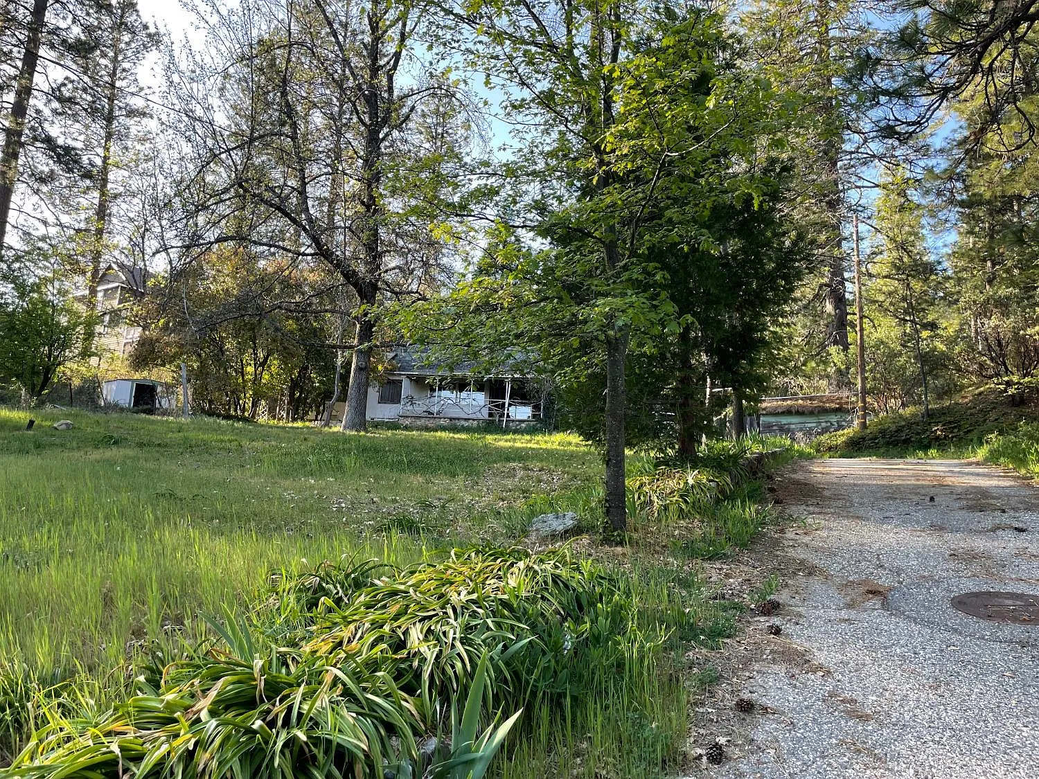 320 American Hill Rd photo 1