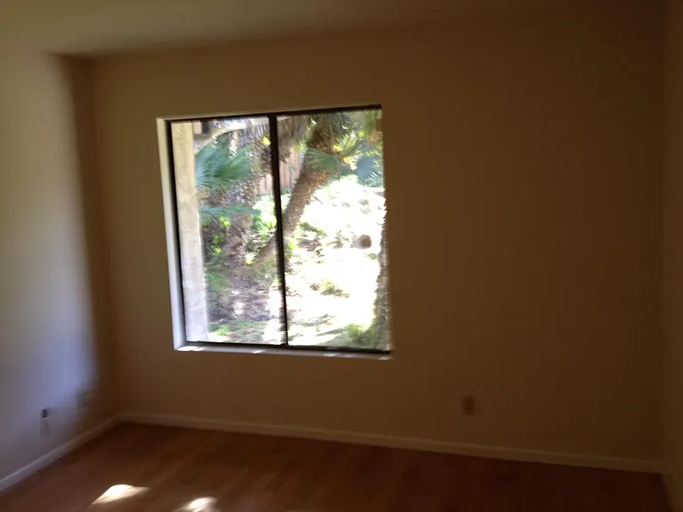 Downstairs bedroom facing back yard