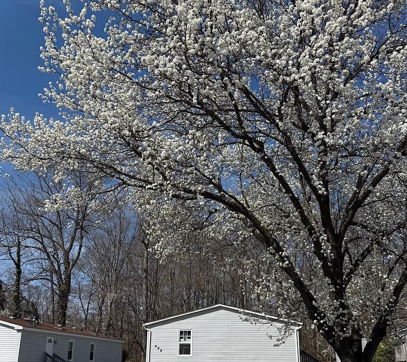 1st image of 402 Boones Dr