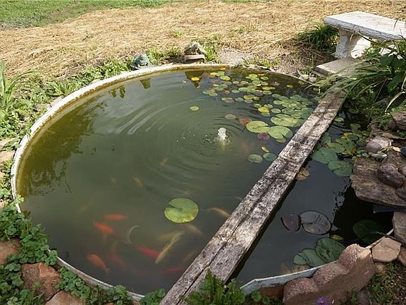 Koi pond!