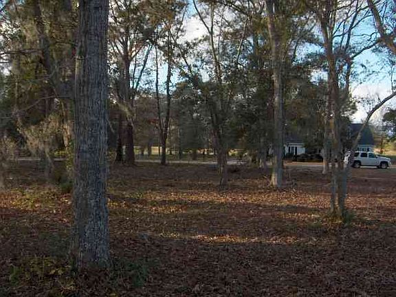 3rd image of 4104 Grey Heron Dr. Lot 90 The Dye Estates