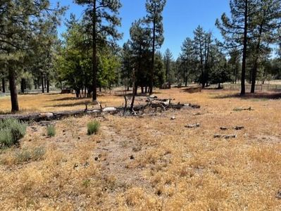 59777 Highway 74, Mountain Center, CA, 92561