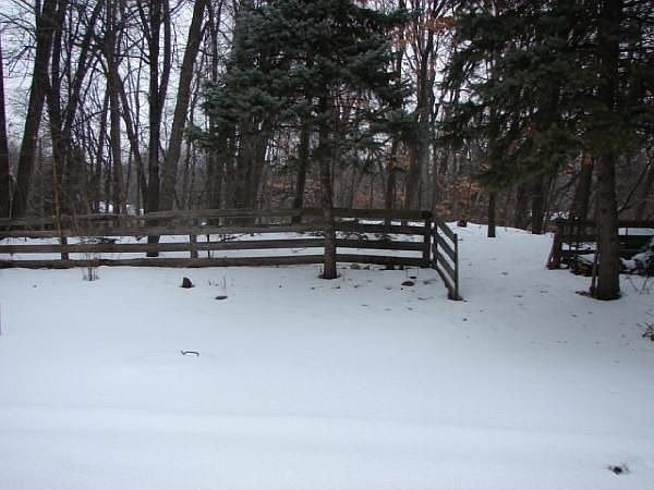 Backyard views park lot