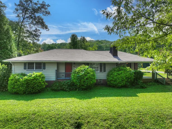 35 E Thomas Rd, Blue Ridge, GA 30513