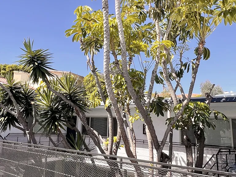 1325 Manhattan Beach Blvd #H — Photo 23