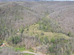 2316 Tanner Fork Rd, Shock, WV 26638