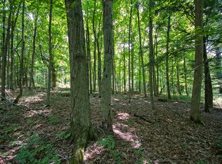 Horning Road #LOT #2, Palatine Bridge, NY 13428