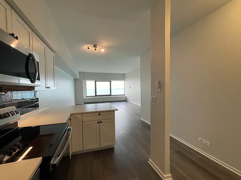 175 E Delaware Pl #5004 — Photo 3