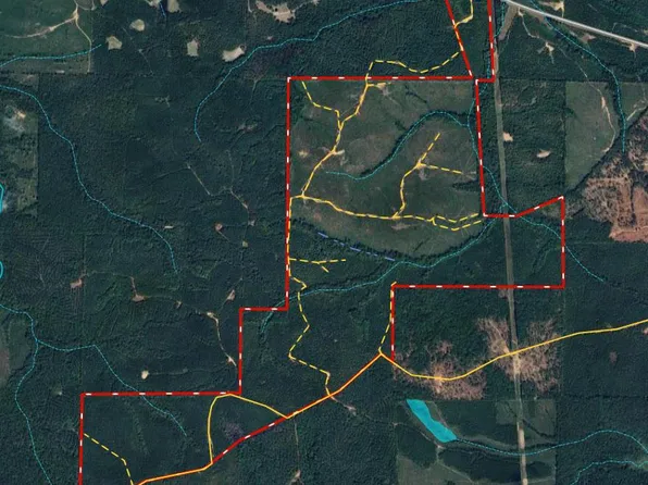 650/- State Highway 80, Butler, GA 31006