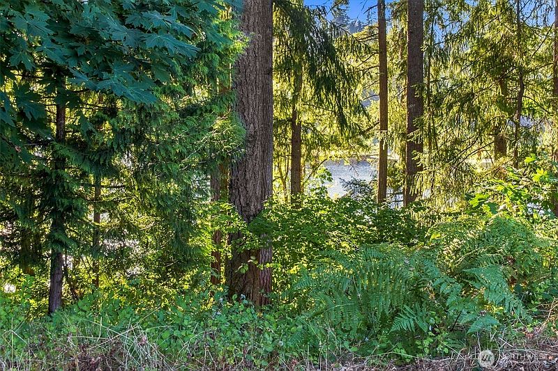 3rd image of 7027 Munn Lake Drive SE