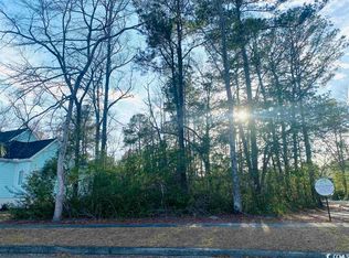 91 Middle Square Ln, Georgetown, SC 29440