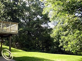 3rd image of 10935 Green Oaks Dr