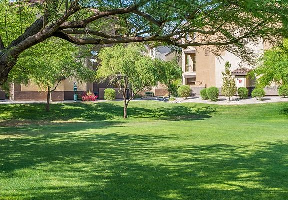 Beautiful Green Area