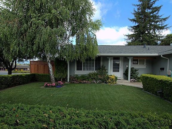 Good Size lawn with year round color