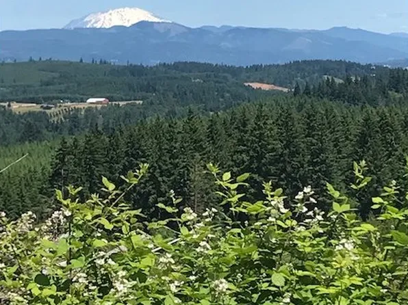 0 Cater Rd, Warren, OR 97053