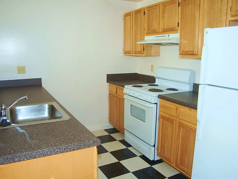 Kitchen Wood Cabinets