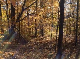 Upper Woods Rd, Pleasant Mount, PA 18453