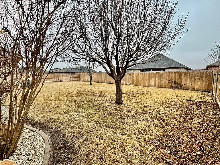 311 Longhorn St — Photo 32