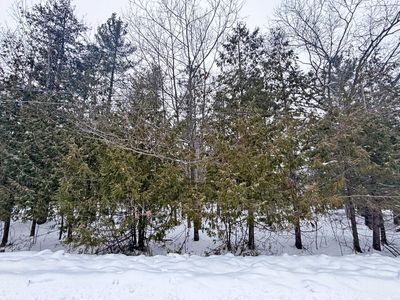 LOT 201 Lakewood Dr, Presque Isle, MI, 49777