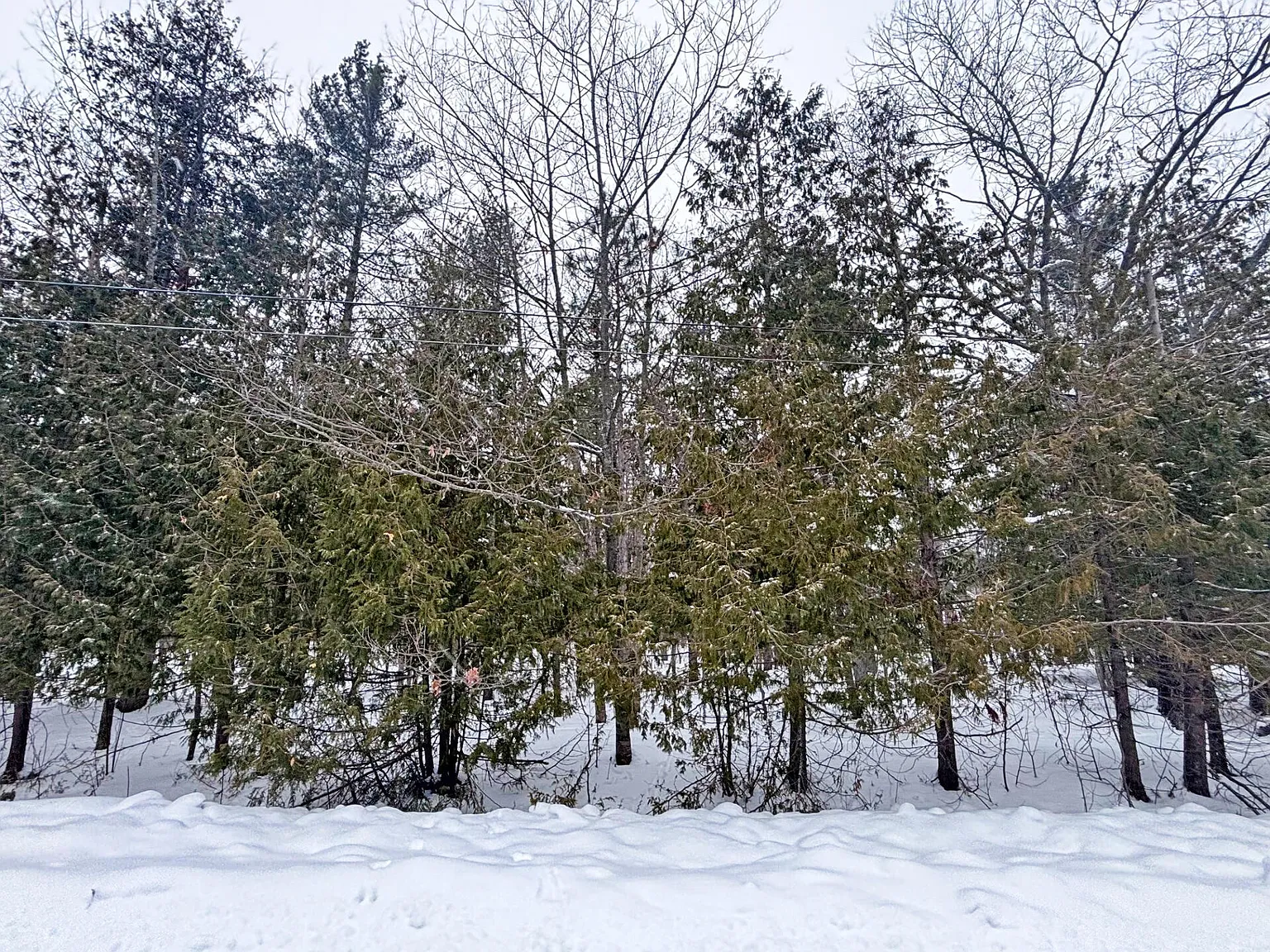 LOT 201 Lakewood Dr photo 1